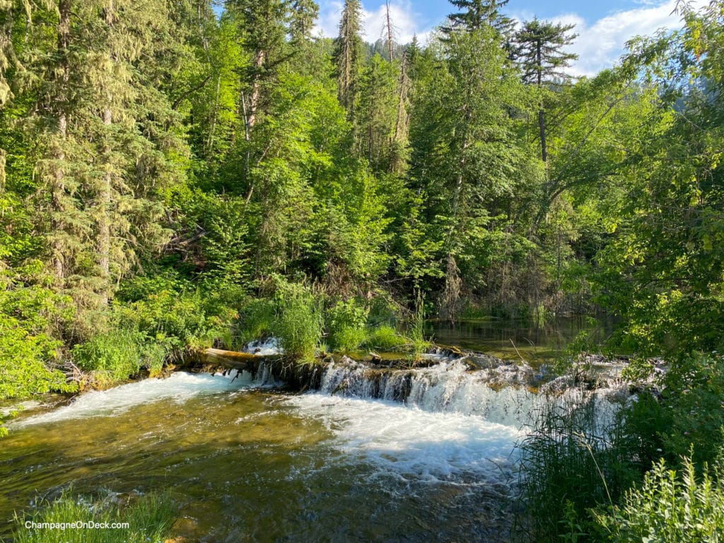Black Hill Spearfish Canyon