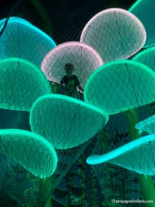Things to do with kids in Branson Aquarium Interactive Climbing structure