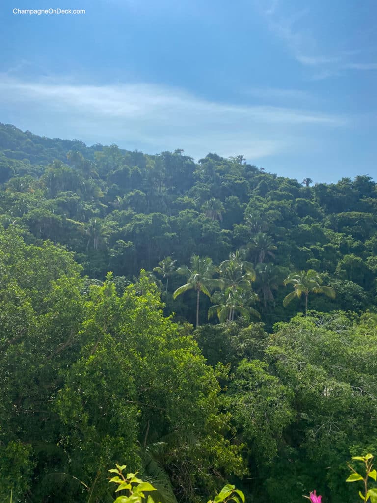 Puerto Vallarta, Mexico Itinerary Jungle Puerto Vallarta, Mexico Itinerary Jungle