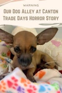 Pinterest Pin for this post about dog alley at Canton Trade Days