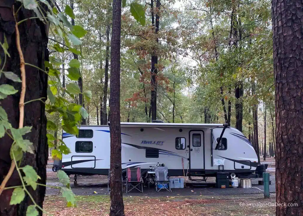 Things to do in Shreveport Cypress Black Bayou Things to do in Shreveport image of Cypress Black Bayou in Benton, Louisiana