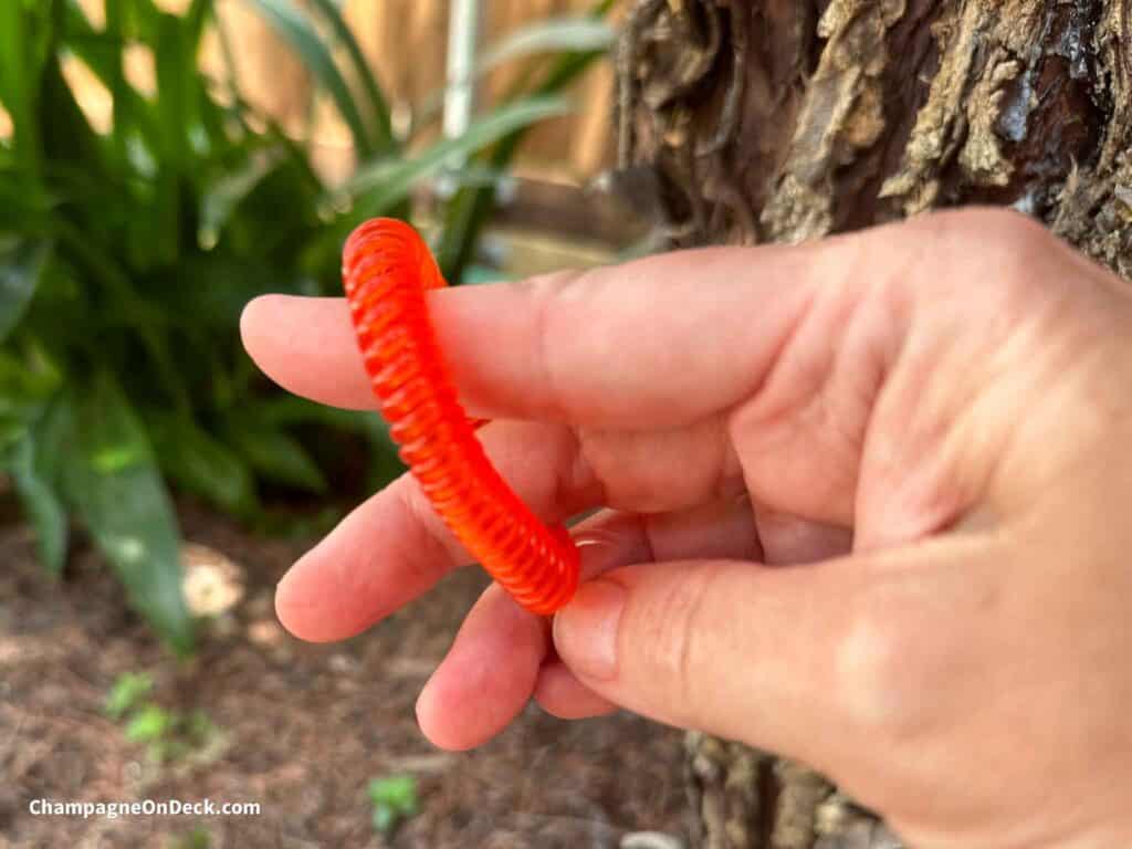 Best Mosquito Repellant for camping hand holding orange buggy band